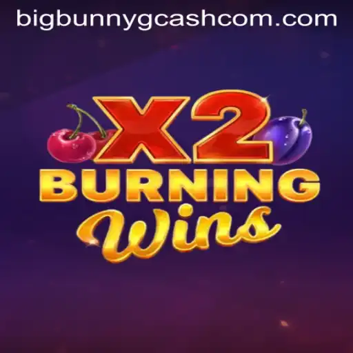 Exploring BurningWinsX2: A Classic Game with a Modern Twist